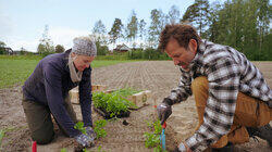 Selvforsyning er mye jobb Selvforsyning er mye jobb