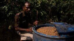 India: The Moonshine State