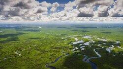 The Secret Islands of the Everglades The Secret Islands of the Everglades