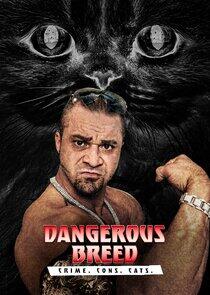 Dangerous Breed: Crime. Cons. Cats. Dangerous Breed: Crime. Cons. Cats.