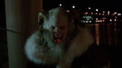 Twelve Days of Krampus