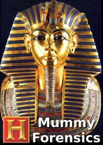 Mummy Forensics Mummy Forensics