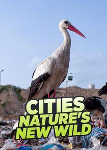 Cities: Nature's New Wild Cities: Nature's New Wild