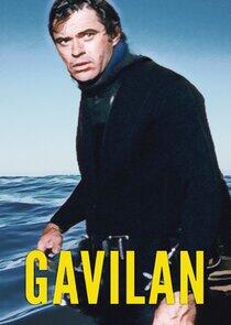 Gavilan Gavilan