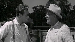 Corky and the Circus Doctor