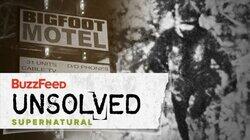 The Harrowing Hunt for Bigfoot The Harrowing Hunt for Bigfoot