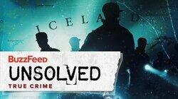 The Suspicious Case of the Reykjavik Confessions The Suspicious Case of the Reykjavik Confessions