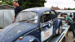 Beetle Mania Beetle Mania