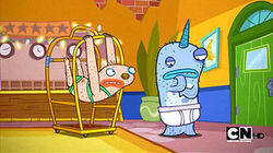 Narwhal's Contest Narwhal's Contest