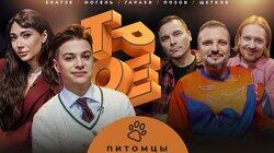 #13 ПИТОМЦЫ. Позов, Гараев, Щетков | Фогель, Ekatze #13 ПИТОМЦЫ. Позов, Гараев, Щетков | Фогель, Ekatze