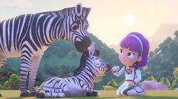 Baby Gorilla Missing and Other Adventures Baby Gorilla Missing and Other Adventures