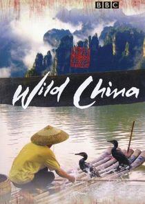 Wild China Wild China