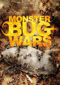 Monster Bug Wars Monster Bug Wars