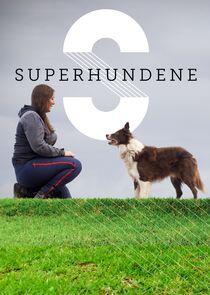 Superhundene Superhundene