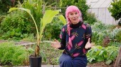 Episode 22 - Winter: Habitat Gardens & Plastic Free July