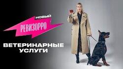 Выпуск 6. Ветеринарные услуги Выпуск 6. Ветеринарные услуги