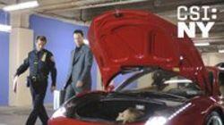 Cavallino Rampante Cavallino Rampante