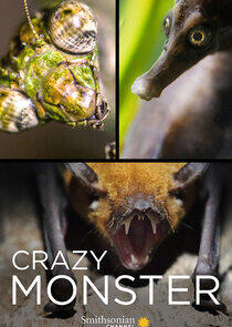 Crazy Monster Crazy Monster