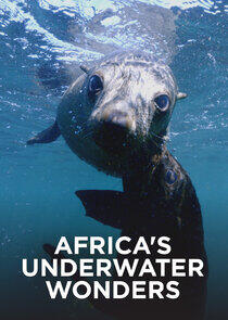 Africa's Underwater Wonders Africa's Underwater Wonders