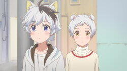 Have You Seen My Tama? / Dog Meeting / Our Waiha Have You Seen My Tama? / Dog Meeting / Our Waiha