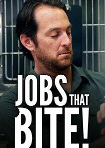 Jobs That Bite! Jobs That Bite!