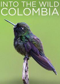 Into the Wild Colombia Into the Wild Colombia