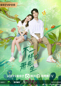 A Different Mr. Xiao - Season 1