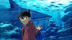 Shinichi Kudo's Aquarium Case (Part 1) Shinichi Kudo's Aquarium Case (Part 1)