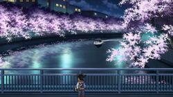 The Evening Cherry Blossom Viewing Route on Sumida River (Part 1) The Evening Cherry Blossom Viewing Route on Sumida River (Part 1)