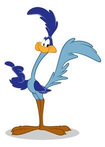 Road Runner Road Runner