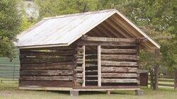 Love Cabin Love Bug Love Cabin Love Bug
