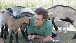 All Creatures Great and Small All Creatures Great and Small