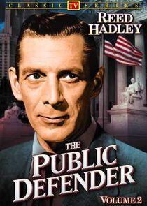 The Public Defender The Public Defender