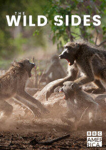 The Wild Sides The Wild Sides