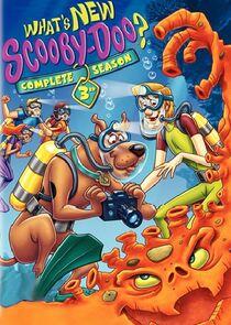 What's New Scooby-Doo? - Season 3 What's New Scooby-Doo? - Season 3