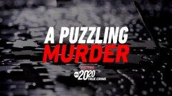 A Puzzling Murder A Puzzling Murder