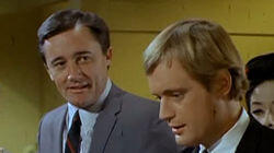 The Five Daughters Affair (2) The Five Daughters Affair (2)