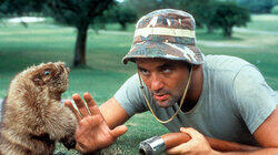 Bill Murray Bill Murray