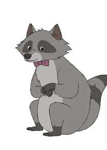 Raccoon Raccoon