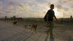 The Dogs of Hurricane Dorian The Dogs of Hurricane Dorian