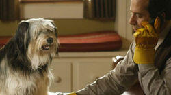 Mr. Monk and the Dog Mr. Monk and the Dog