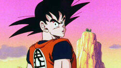 Goku's Arrival
