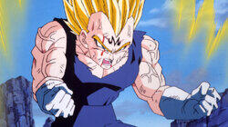 Magic Ball of Buu