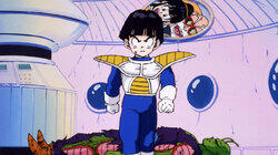 Namek's Destruction