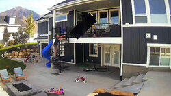 DIY Disasters DIY Disasters