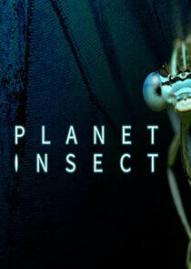 Planet Insect Planet Insect