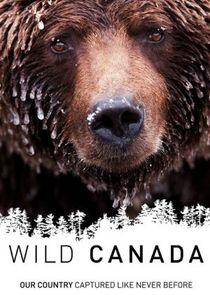 Wild Canada Wild Canada