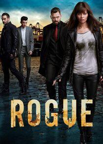 Rogue Rogue