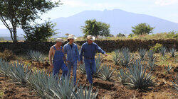 Moonshine of Mexico Moonshine of Mexico