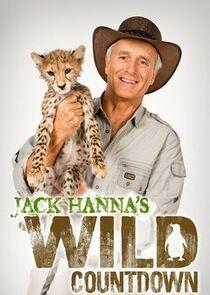Jack Hanna's Wild Countdown Jack Hanna's Wild Countdown